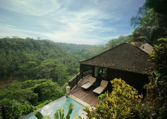 Kupu Kupu Barong And Tree