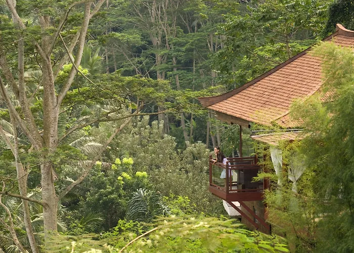Kupu Kupu Barong And Tree