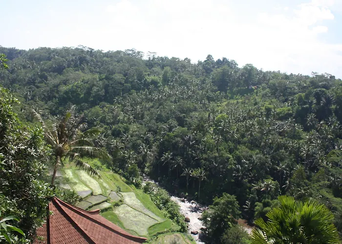 Kupu Kupu Barong And Tree リゾート